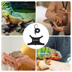 Bearded Dragon Harness Security Leopard Gecko Small Animal Leashes & Harnesses