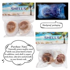 Extra Large Hermit Crab Shells 2 Pack Natural Snail Shells for Large Crabs
