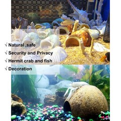 15 PCS Hermit Crab Shell Growth Seashells Natural Coconut Hut Fish Tank Decor