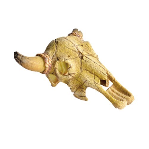 Dophin Reptile Terrarium Aquarium Resin Skull Ornament