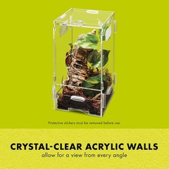 Large Arboral Micro Habitat Terrarium with Locking Latch for Secure Viewing