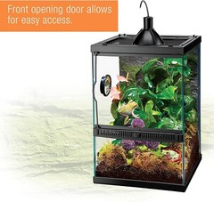 Tropical Vertical Habitat Starter Kit for Small Tree Dwelling Reptiles & Amph…