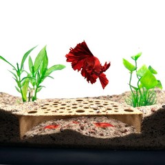 Shrimp Breeding Protector | Shrimp Breeding Cave Aquarium Tunnel | (Light Brown)