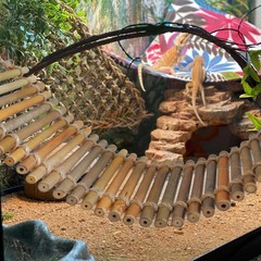 Reptile Bamboo Climbing Bridge,Lizard Ladder Hammock Bridge Bearded Dragon Ha…