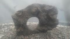 FISH TANK AQUARIUM DRAGON STONE HOLEY LIZARD REPTILE LAVA ROCK CLIMB ORNAMENTAL