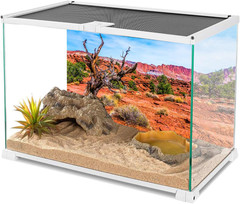 48X24 Inches Reptile Habitat Background Blue Sky Oasis Orange Desert Terrarium B