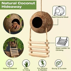 Crested Gecko Terrarium Accessories, Bearded Dragon Terrarium Accessories