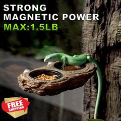 OIIBO Reptile Feeder Ledge Magnetic Gecko Food Water Cups 6PCS