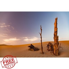 Riivvdise Reptile Tank Background 48×18 Sunset Orange