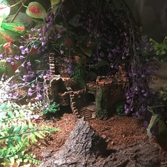 kathson Bearded Dragon Tank Castle Decorations,Reptile Hammock Reptiles Habit…