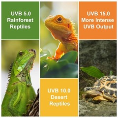 UVB Reptile Light, 5.0 15W UVA UVB Light for Reptiles, Spiral Compact Fluores…