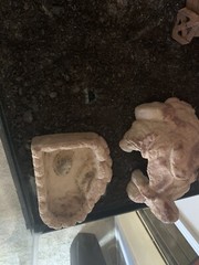 custom stand Reptile Tank