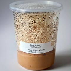 Fruit Fly Culture 2 Pack Live Hydei Melanogaster Feeder Insects Reptiles Inverts