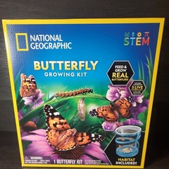 National Geographic Butterfly Growing Kit, Kids STEM Activity NEW