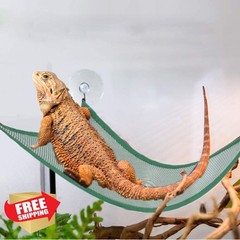 ADOGGYGO Bearded Dragon Lizard Hammock, Reptile Lounger Ladder, Bearded Drago…