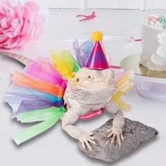 Wodison 15Pcs Bearded Dragon Hats & Lizard Adjustable Tutu Small, Multicolor