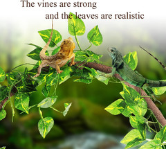 Canlierr 4 Pcs Reptile Vines, Flexible Bendable Jungle Climbing Vine Terrarium,