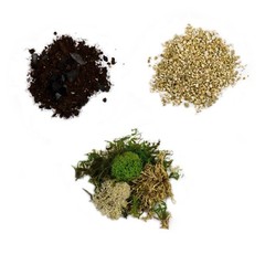 DIY Small Terrarium Kit – Perfect Gift for Plant Lovers