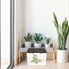 Reptile Pet Terrarium Reptiles Breeding Container Plastic Carrier