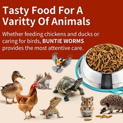 BUNTIE WORMS Dried Black Soldier Fly Larvae 5LB, 5 Pound (Pack of 1), YELLOW