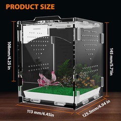 Acrylic Jumping Spider Enclosure, Insect Terrarium, Praying Mantis Habitat