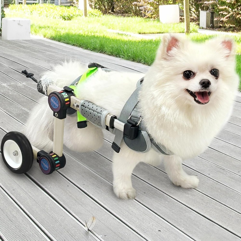 Adjustable Dog Wheelchair for Back Legs Mobility Support Lightweight Pet Wheelch