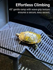 11 Inch SolidForm Turtle Basking Platform With Ramp Tray 2575 Gal Tank