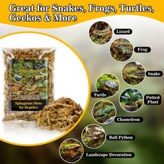 RAINFLOW Sphagnum Moss for Reptiles – 5.6 OZ Reptile Peat Terrarium…