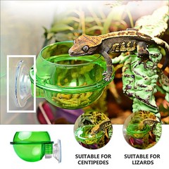 4 Pcs Reptile Feeding Basin Feeder Bowl Gecko Water Dish for Reptiles