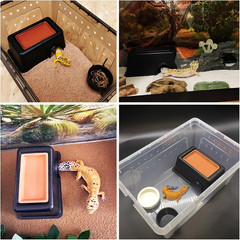 4 Pcs Humid Hide for Leopard Gecko Moist Reptile Hide Box Small Snake