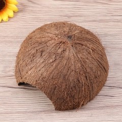 Coconut Hide for Crested Gecko Natural Reptile Hideouts Hut Cave Habitat