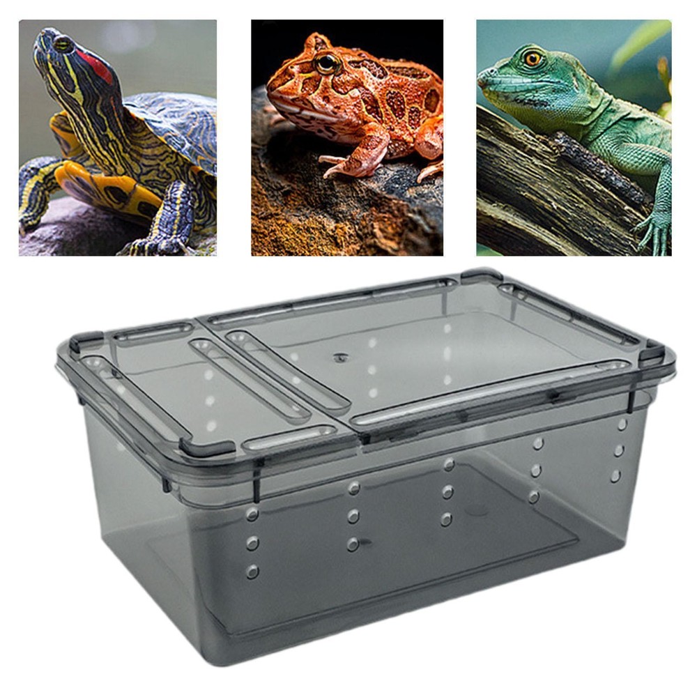 Reptile Feeding Box Animal Habitat Cage with Cover Terrarium Turtle Transport