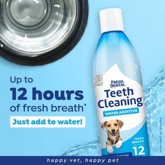 Fresh Dental Water Additive for Dogs 2-Pack, 18oz Each — Dog Breath Freshener…