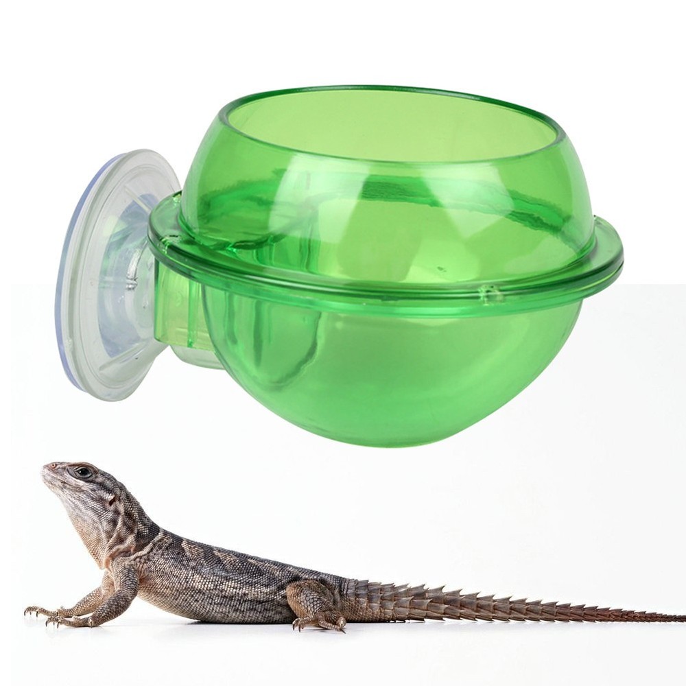 Lizard Water Bowl for Lizards Leopard Gecko Accessories Food Dish