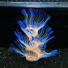 Glowing Fish Tank Decorations Plants, 4 pcs Glow Aquarium Decoration Plants K…