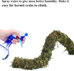Hermit Crab Accessories, 5Pcs Hermit Crab Climbing Toys Coconut Shell Hideout
