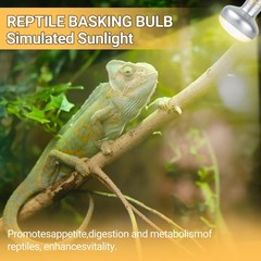 Reptile Heat Lamp Blub, 2Pack 100W Day & Night Reptile Heat Lamp, UVA Dayligh…