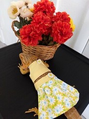Bearded dragon Yellow Floral Dress MADE IN USA, L, M, S