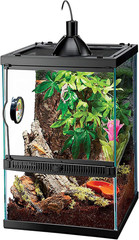 11 Gallon Glass Tropical Vertical Habitat Starter Kit for Small Tree Dwelling Re