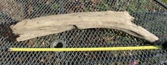 DRIFTWOOD natural Terrarium Taxidermy Art/craft Reptile beach home/garden Decor