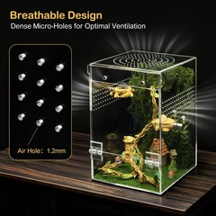 Jumping Spider Enclosure Starter Kit,Escape Proof Forest Terrarium