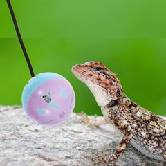 7 Pcs Bearded Dragon Tank Accessories Lizard Toy Ball Chinchilla Toys Reptile