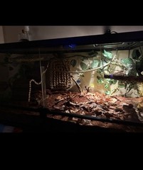 Reptile Habitat Accessories Bundle for Terrarium
