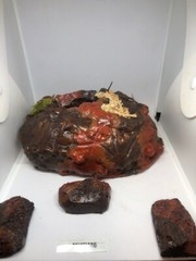 Reptile Medium Desert Magnetic Hides For Terrariums And Cages