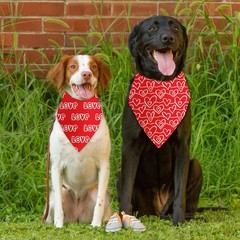 Mother’s Day Valentine’s Day Love Dog Bandana 2 Pack Dog Birthday Bandana Mot…