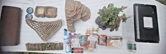 Zoo Med 40-Gallon Glass Reptile Tank (36 x 36 x 18 inches) EASY SET-UP