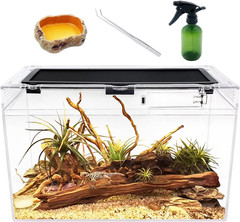Reptile Terrarium,16″ X 8″X 10″ Reptile Tank with Full View Visually Appealing，F