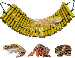 Bearded Dragon Tank Accessories Reptile Climbing Hammock Bridge Lizard Lounger