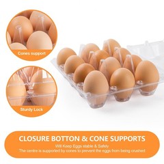 100 Pack Plastic Egg Cartons Cheap Bulk,1 Dozen Clear Empty Egg Cartons for C…