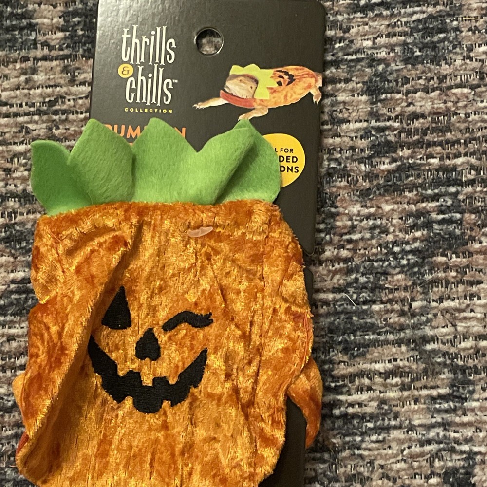 Pumpkin Reptile Costume Bearded Dragon/Reptile Merry & Bright Christmas Gift